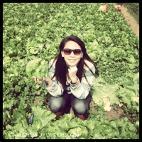 Baguio: Fresh Strawberry-Everythings, Anyone?