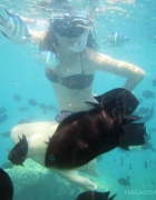 Puerto Princesa Honda Bay Snorkeling